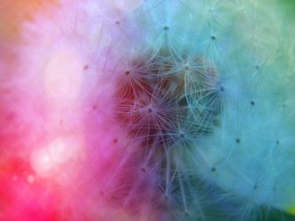 Dispersing agents